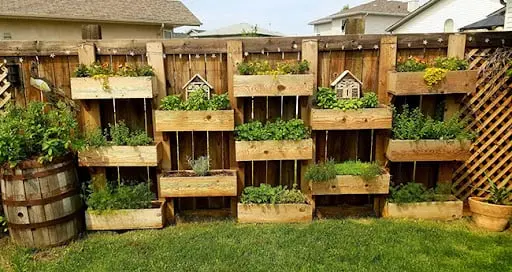 Hidden food-growing fence with pallet planters full of herbs and greens, from No Grid Survival Projects